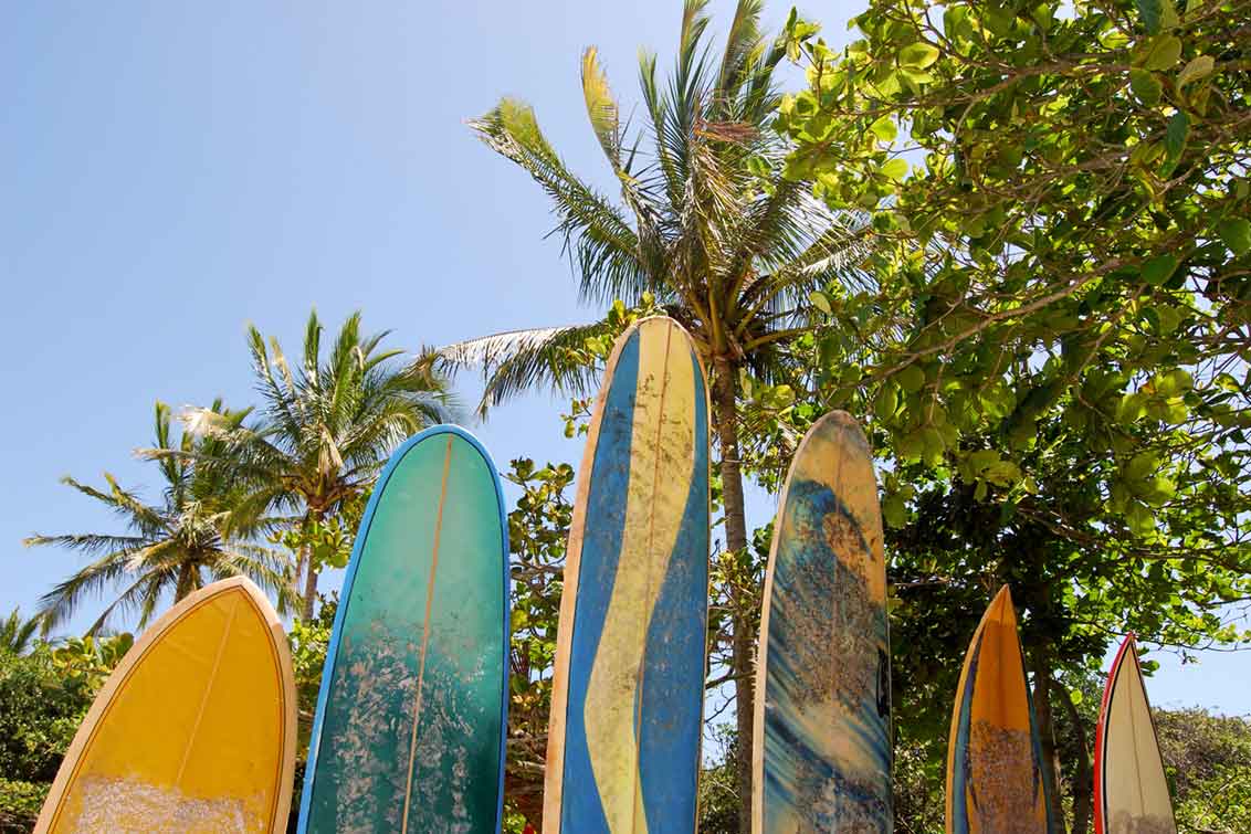 Photo of surfboards